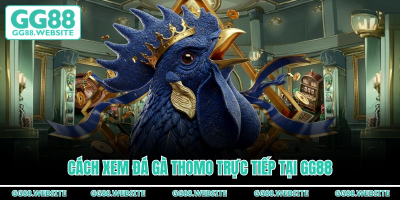 Cách xem đá gà Thomo trực tiếp tại GG88