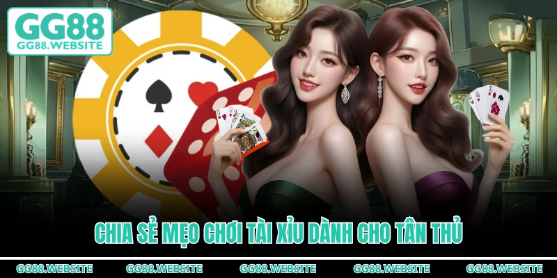 Chia sẻ mẹo chơi tài xỉu dành cho tân thủ