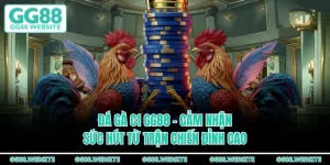 Đá Gà C1 GG88 - Cảm Nhận Sức Hút Từ Trận Chiến Đỉnh Cao