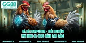 Đá Gà Campuchia - Trải Nghiệm Mô Hình Cá Cược Đỉnh Cao GG88