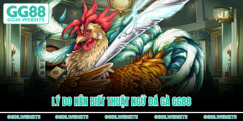 Lý do nên biết thuật ngữ đá gà GG88