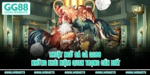 Thuật Ngữ Đá Gà GG88 - Những Khái Niệm Quan Trọng Cần Biết
