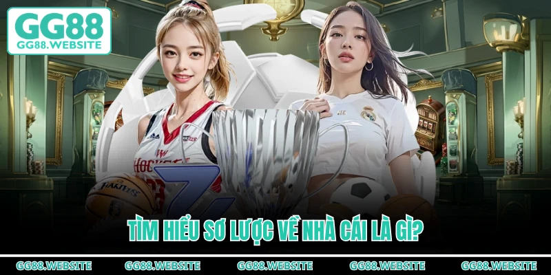 Tìm hiểu sơ lược về nhà cái là gì?