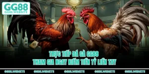 Trực Tiếp Đá Gà GG88 - Tham Gia Ngay Kiếm Tiền Tỷ Liền Tay