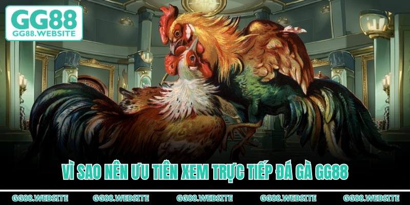 Vì sao nên ưu tiên xem trực tiếp đá gà GG88